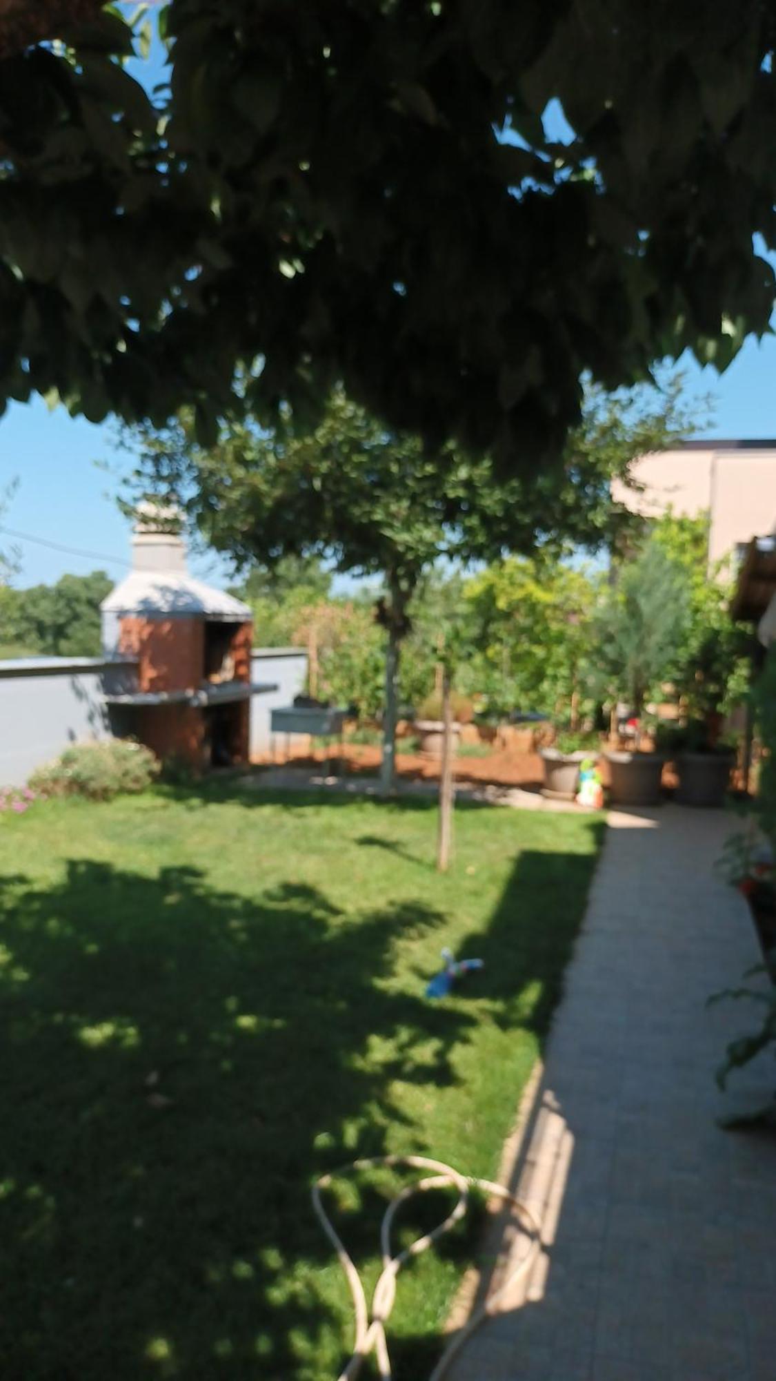 Apartments Monte Magno بولا المظهر الخارجي الصورة