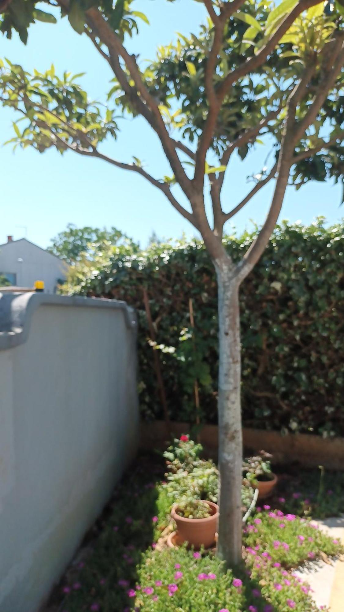 Apartments Monte Magno بولا المظهر الخارجي الصورة