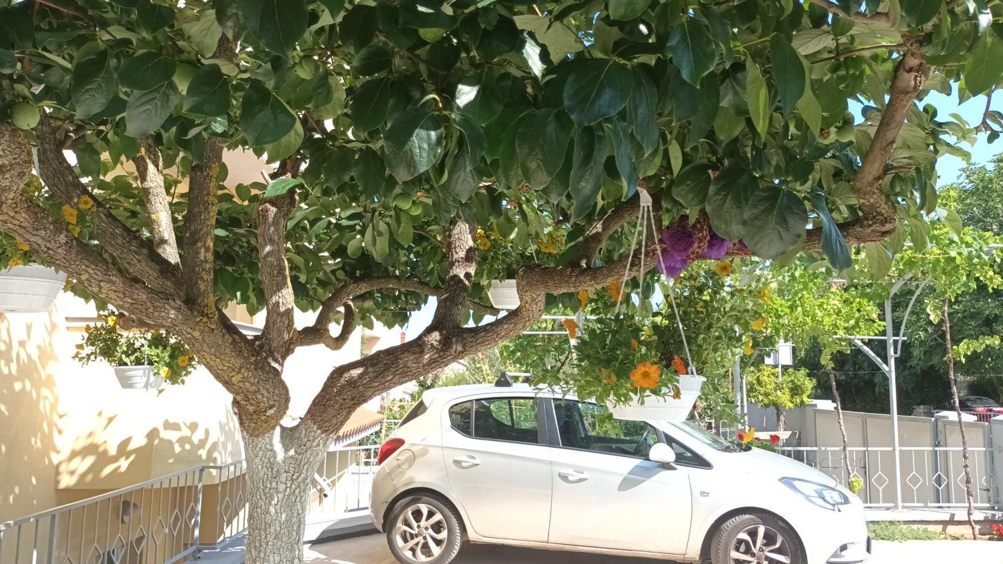 Apartments Monte Magno بولا المظهر الخارجي الصورة