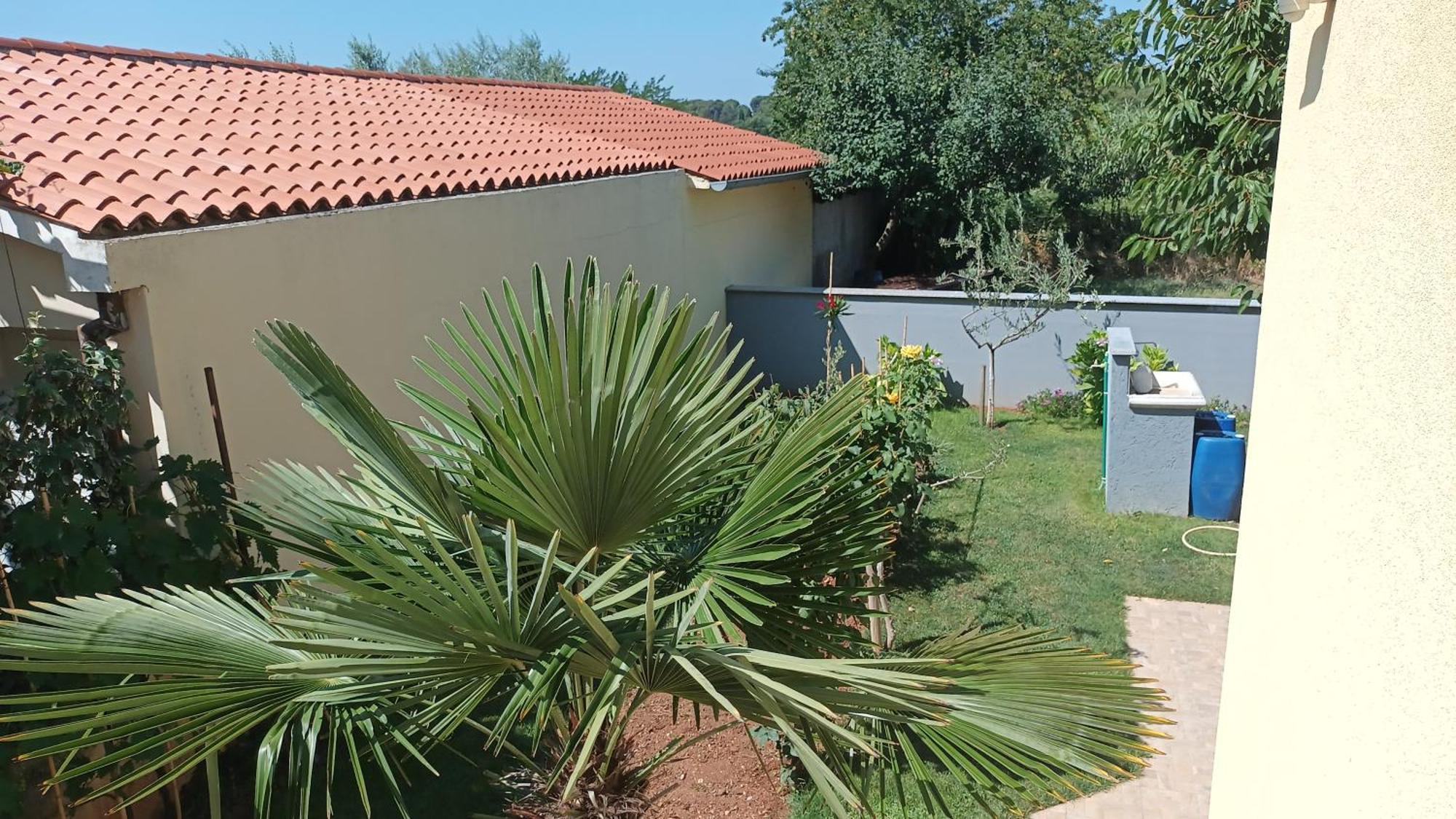 Apartments Monte Magno بولا المظهر الخارجي الصورة