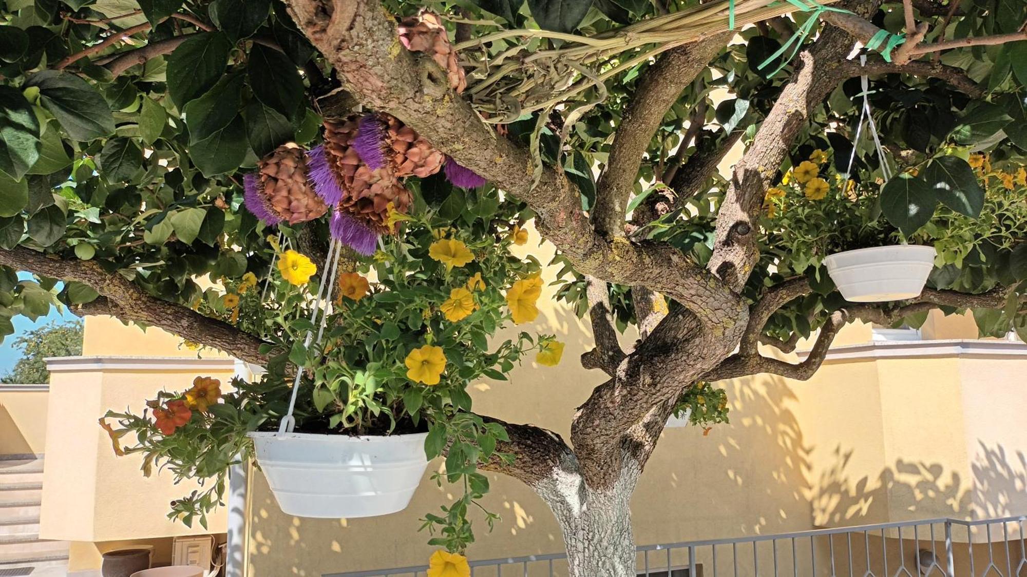 Apartments Monte Magno بولا المظهر الخارجي الصورة